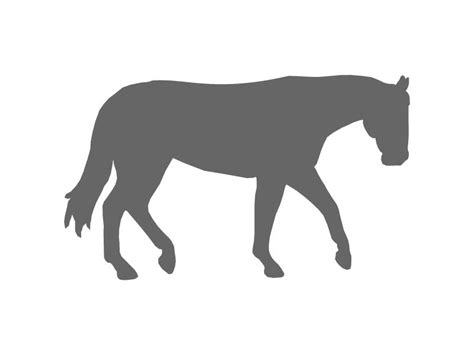 Walking Horse Silhouette at GetDrawings | Free download