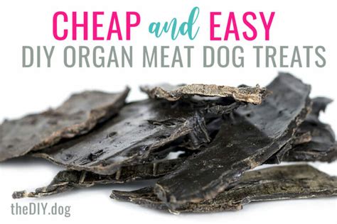 8 Incredibly Easy Dehydrator Dog Treats That Your Dog Will Love - Kol's Notes