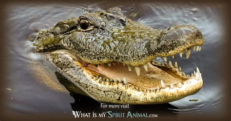 Crocodile Symbolism & Meaning | Crocodile Spirit, Totem & Power Animal