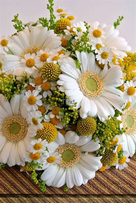 7 Gerbera Daisy Arrangement Ideas for This Summer (With images) | Daisy wedding flowers, Daisy ...