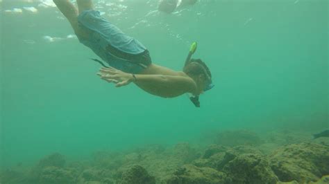 OAHU, HAWAII - Snorkeling KoOlina - Jan 2016 - YouTube