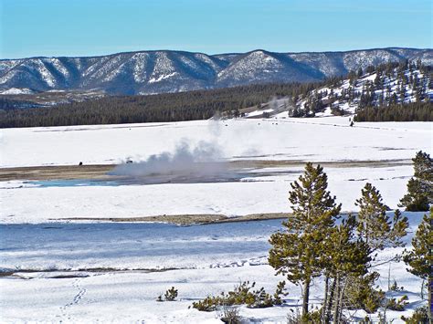 Yellowstone Part II - Winter - FOREVER TOURING