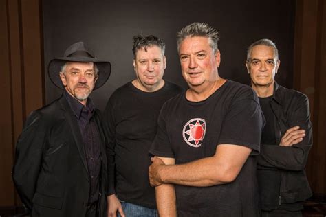 Sunnyboys celebrate 40 years - SUNNYBOYS 40 - GongScene