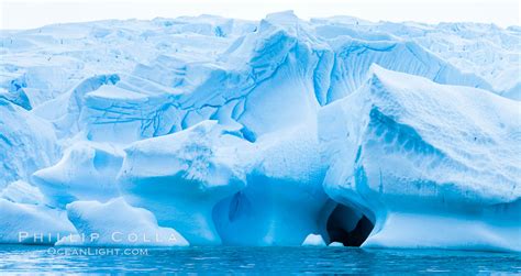 Antarctic icebergs, Cierva Cove, Antarctic Peninsula, Antarctica