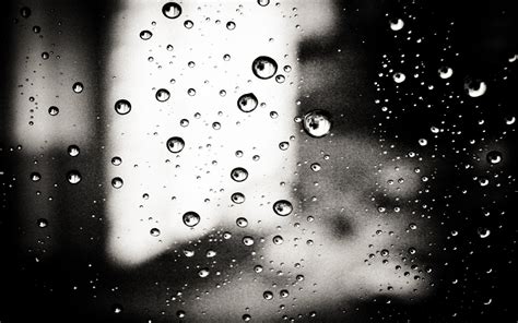 Water droplets, water drops, monochrome, water on glass HD wallpaper | Wallpaper Flare