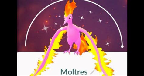 Pokemon Go Moltres Day: raid tips to get a Shiny Moltres with Sky ...