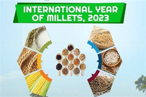 Millets Agriculture