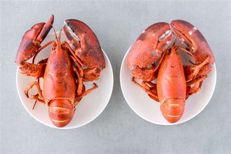 Top 10 Tips for Cooking Fresh Lobster (Including Prep)