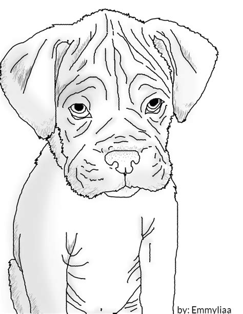 Boxer puppy lineart by Emmyliaa on DeviantArt