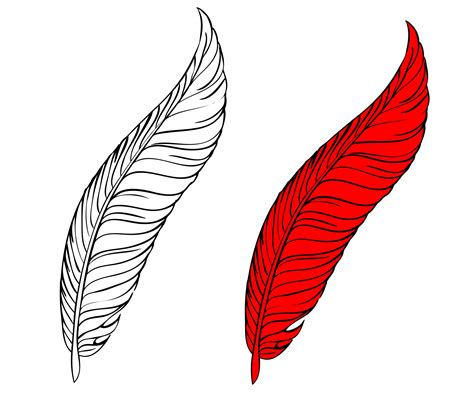 Feather Coloring Page For Kids Free Stock Photo - Public Domain Pictures