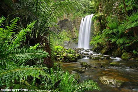 Waterfalls in the Otways : Treasures of the Great Otway National Park