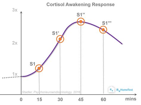 Why Morning Cortisol and its Collection Time are so Important? | RxHomeTest: At-Home Health Tests