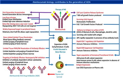 Alemtuzumab.The irony of humanisation Part I & II Alemtuzumab was the ...