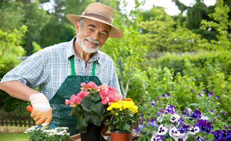 9 Tips To Gardening Safely When You’re A Senior – How Does Your Garden Mow