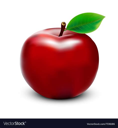 Red apple on white background Royalty Free Vector Image