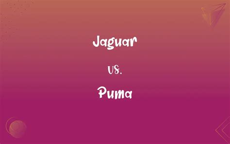 Jaguar vs. Puma: What’s the Difference?