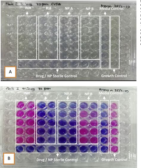 Figure 1 from Evaluation of crystal violet decolorization assay and resazurin microplate assay ...