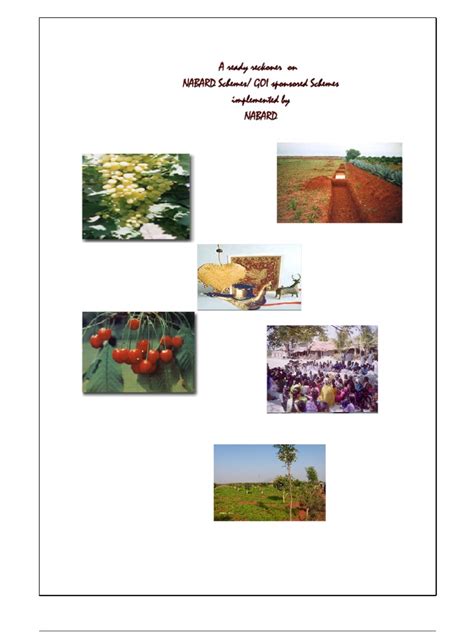 Nabard Schemes Funding 2012 | PDF | Cooperative | Financial Inclusion