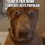 Shocked Dog Meme Generator - Imgflip