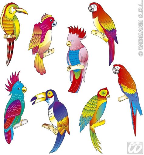 rainforest birds clipart 10 free Cliparts | Download images on Clipground 2024