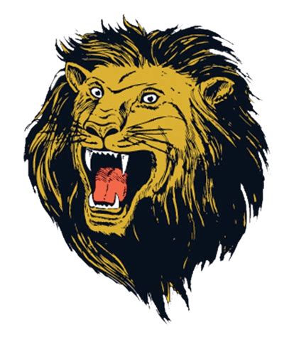 Shelby - Team Home Shelby Golden Lions Sports