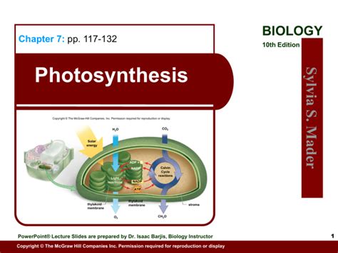 Photosynthesis