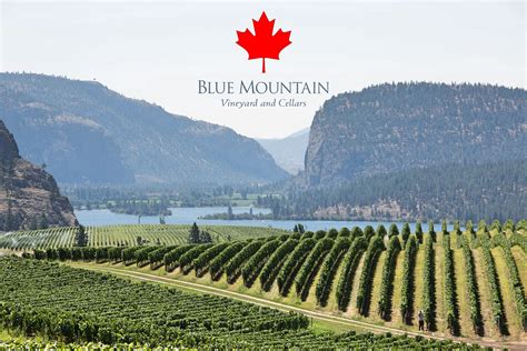 Blue Mountain Vineyard in Okanagan Falls | BCWineTrends