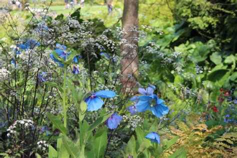 Sculpture at RHS Garden Harlow Carr during June 2016