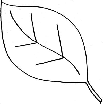 Free Leaf Clipart Black And White, Download Free Leaf Clipart Black And White png images, Free ...