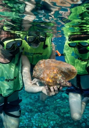 Where to Go Snorkeling in Grand Cayman | Celebrity Cruises