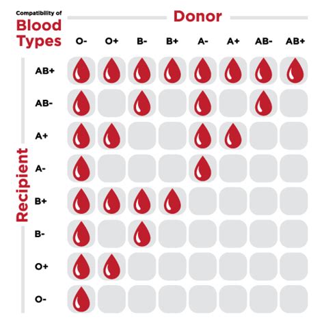 Blood type compatibility chart! : r/coolguides