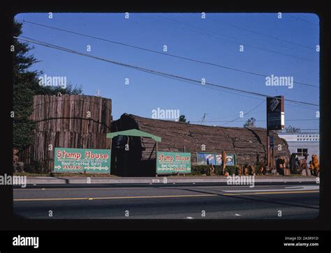 Stump House, Redwood Gifts, Route 101, Eureka, California Stock Photo - Alamy