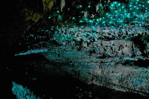 Waitomo Caves At The Night, New Zealand - InspirationSeek.com