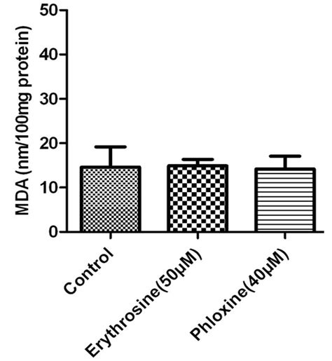 Effects of Erythrosine (50 μM) and Phloxine (40 μM) on the levels of ...