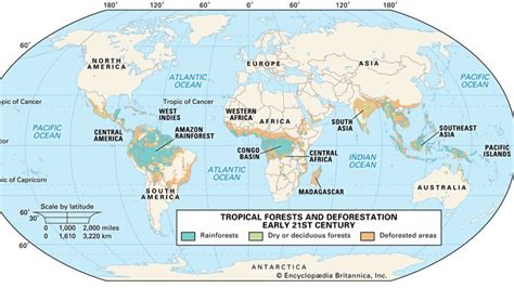 Amazon Rainforest | Plants, Animals, Climate, & Deforestation | Britannica