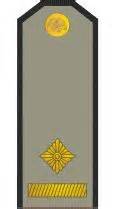 Serbia Serbian Army ranks land ground forces field combat uniforms ...