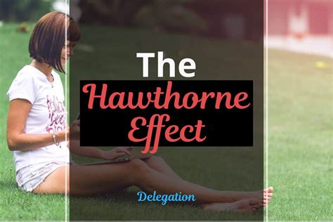 Is the Hawthorne Effect Relevant to Solopreneurs? - Habitgrowth