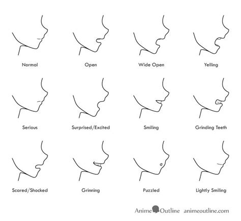 the different types of face shapes for each woman's face, including nose and mouth