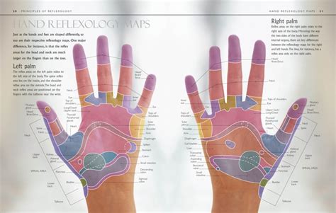 Reflexology Chart Hand Points