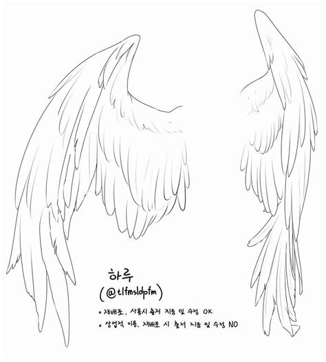 Pin by Yuki Kira on drawing | Wings drawing, Art reference, Angel wings ...