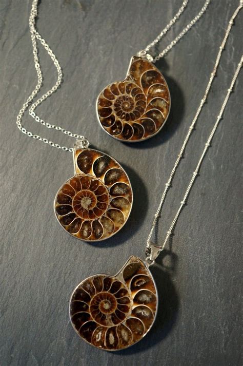 Ammonite Fossil Necklace Ammonite Necklace Silver Ammonite - Etsy ...