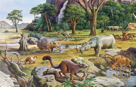 Primitive Mammals From The Cenozoic Photograph by Publiphoto - Fine Art America