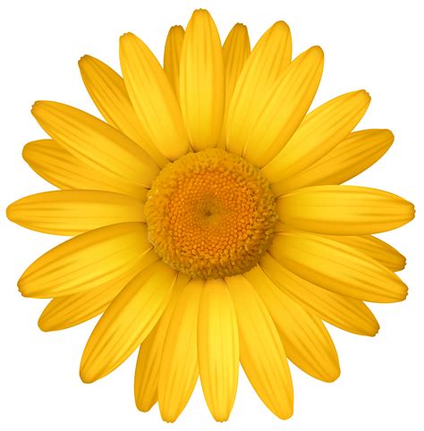 Free daisy clipart public domain flower clip art images and 2 7 - Clipartix
