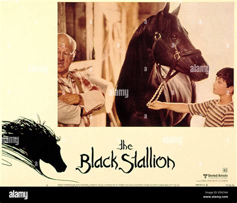 THE BLACK STALLION, Mickey Rooney, Kelly Reno, 1979. (c) MGM/ Courtesy ...