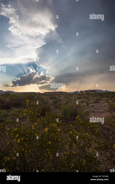 Panther Junction, Brewster County, Texas, USA Stock Photo - Alamy