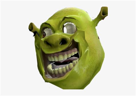 Shrek Meme Format