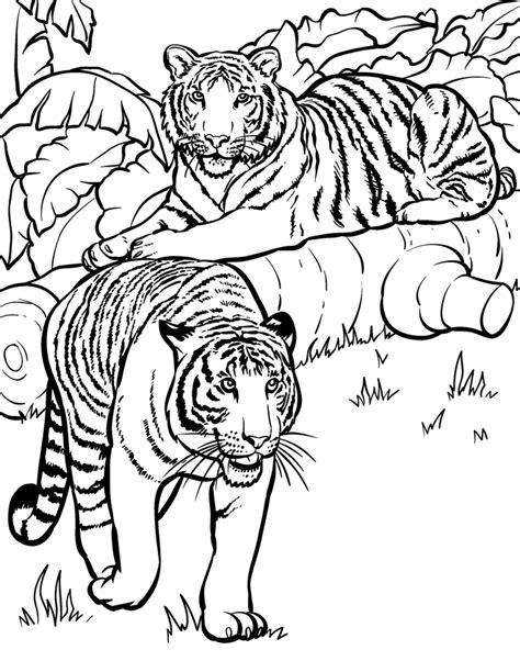 Real Animal Coloring Pages - Coloring Home