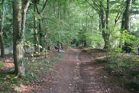Byway skirting Black Wood Forest © Mr Ignavy cc-by-sa/2.0 :: Geograph Britain and Ireland