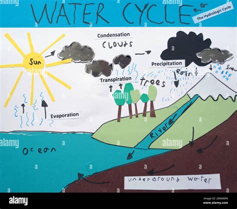 Water Cycle poster by a child Stock Photo - Alamy