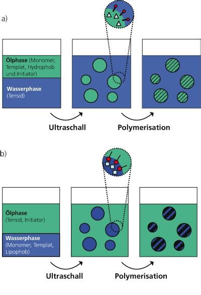 Polymerization processes - Fraunhofer IGB